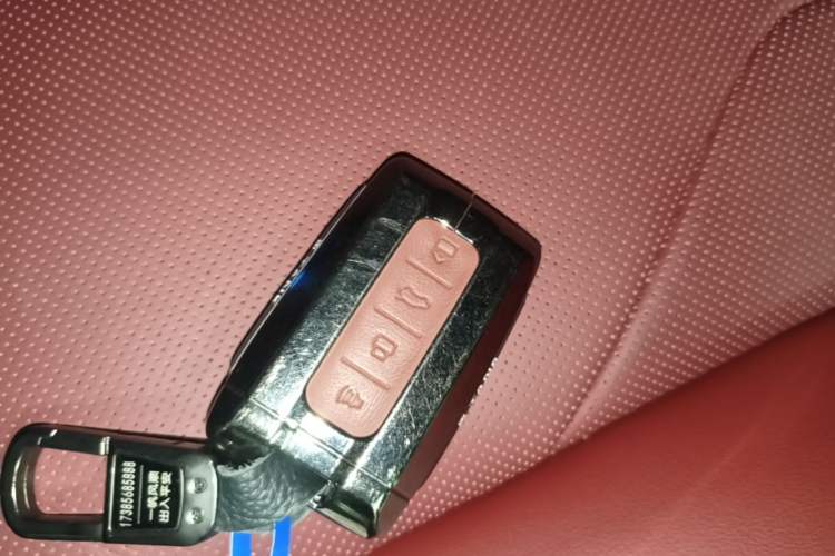 Used Tank 400 New Energy 2026 Model—Hi4-T Vehicle Key