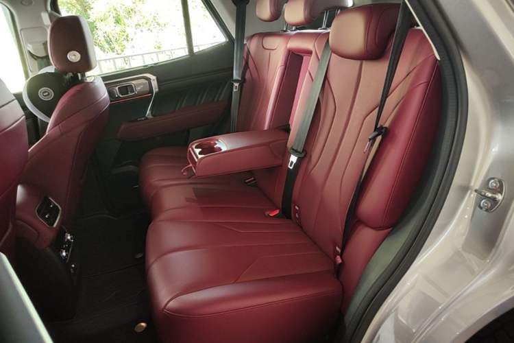 Used Tank 400 New Energy 2026 Model—Hi4-Z Smart Enjoyment Version Left Rear Seat