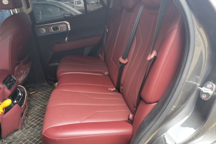 Used Tank 400 New Energy 2026 Model—Hi4-Z Smart Enjoyment Version Left Rear Seat