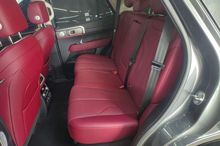 Used Tank 400 New Energy 2026 Model—Hi4-T Smart Enjoyment Version Left Rear Seat