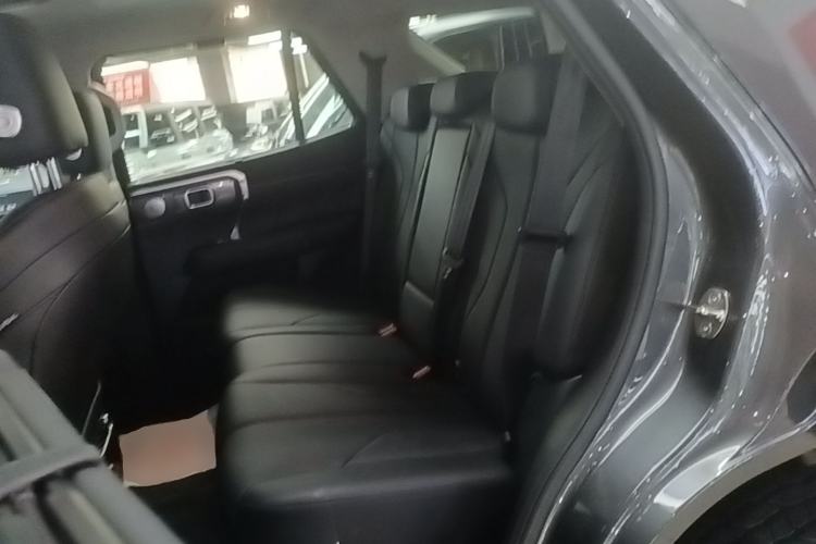 Used Tank 400 New Energy 2026 Model—Hi4-T Smart Enjoyment Version Left Rear Seat