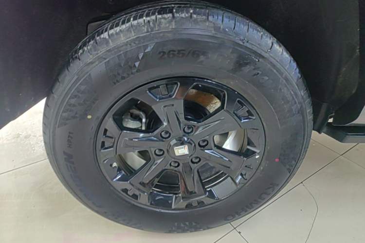 Used Tank 400 New Energy 2026 Model—Hi4-T Smart Enjoyment Version Right Rear Wheel Hub