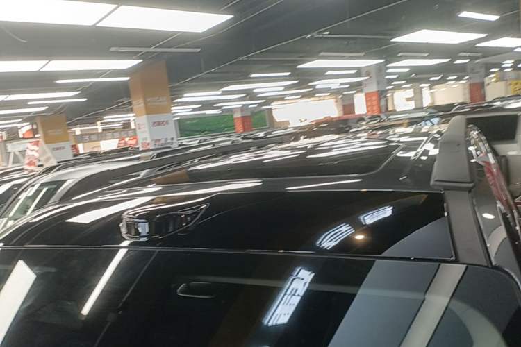 Used Tank 400 New Energy 2026 Model—Hi4-T Smart Enjoyment Version Roof