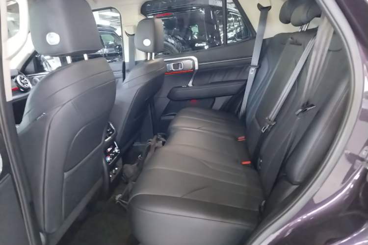 Used Tank 400 New Energy 2026 Model—Hi4-Z Smart Enjoyment Version Left Rear Seat