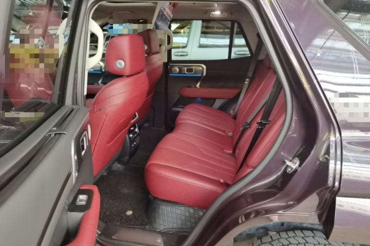 Used Tank 400 New Energy 2026 Model—Hi4-Z Smart Enjoyment Version Left Rear Seat