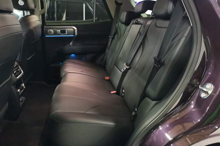 Used Tank 400 New Energy 2026 Model—Hi4-Z Smart Enjoyment Version Left Rear Seat