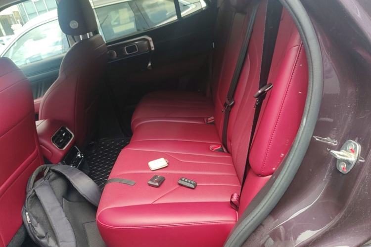 Used Tank 400 New Energy 2026 Model—Hi4-Z Smart Enjoyment Version Left Rear Seat