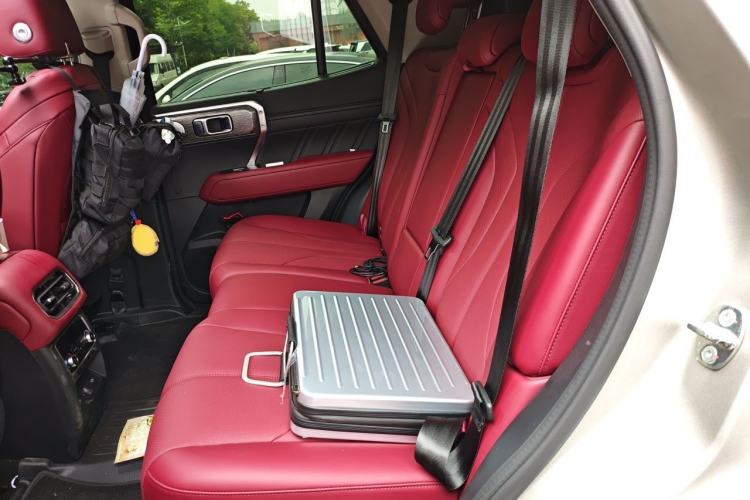 Used Tank 400 New Energy 2026 Model—Hi4-Z Smart Enjoyment Version Left Rear Seat