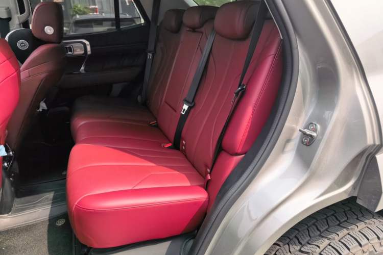 Used Tank 400 New Energy 2026 Model—Hi4-Z Smart Enjoyment Version Left Rear Seat