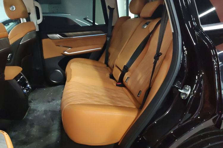 Used Tank 500 2022 3.0T Sport Edition "Creation" Version 5-Seater Interior 4