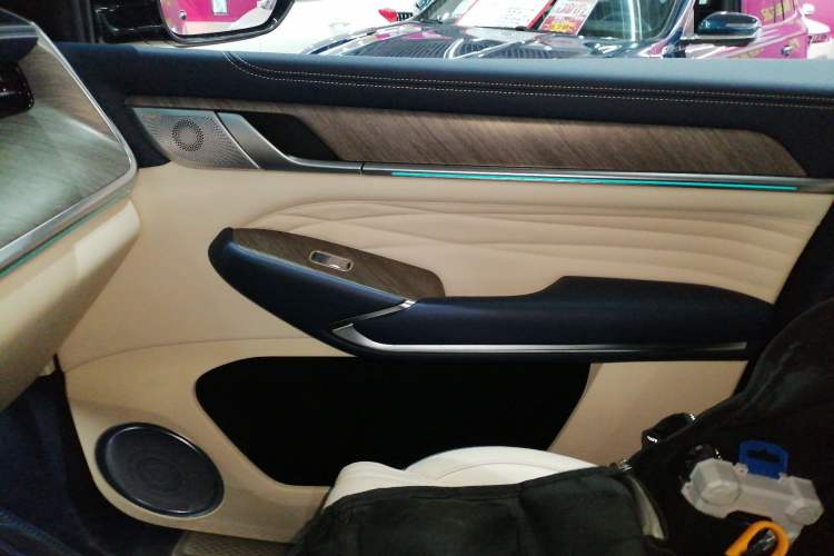 Used Tank 500 2022 3.0T Business Edition "Creation Realm" Design 5-Seater Left Front Door Interior