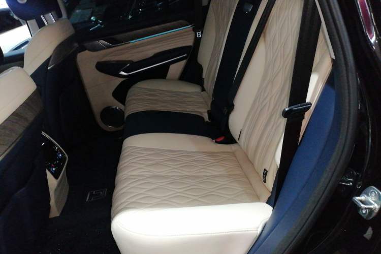 Used Tank 500 2022 3.0T Business Edition "Creation Realm" Design 5-Seater Left Rear Seat