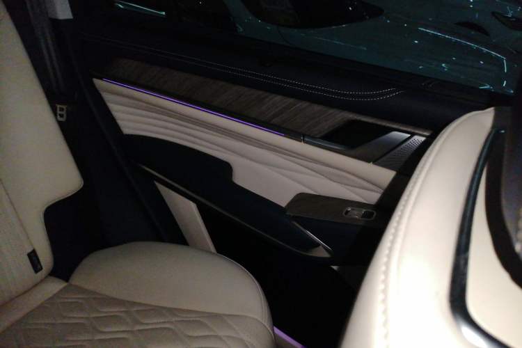 Used Tank 500 2022 3.0T Business Edition "Creation Realm" Design 5-Seater Right Rear Door Interior