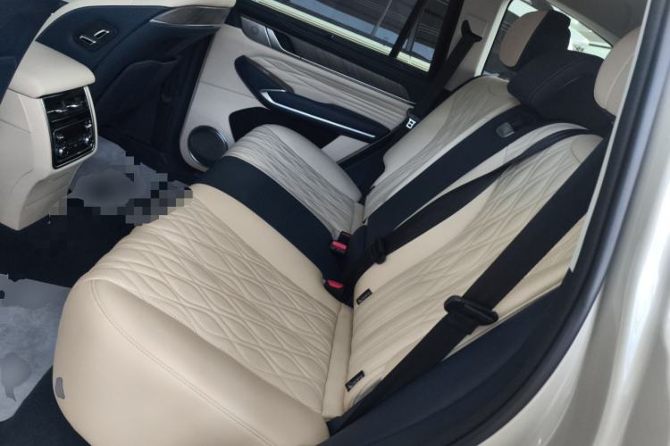 Used Tank 500 2022 3.0T Sport Edition "Creation" Version 5-Seater Left Rear Seat