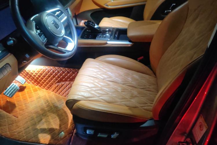 Used Tank 500 2022 3.0T Sport Edition "Creation" Version 5-Seater Left Front Seat
