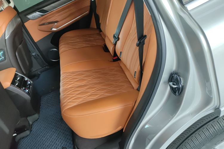 Used Tank 500 2022 3.0T Sport Edition "Creation" Version 5-Seater Left Rear Seat