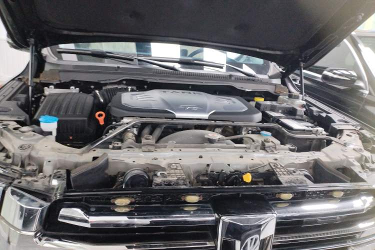 Used Tank 500 2022 3.0T Sport Edition "Creation" Version 5-Seater Engine Bay