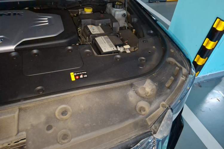 Used Tank 500 2022 3.0T Business Edition "Creation Realm" Design 5-Seater Engine Bay Left