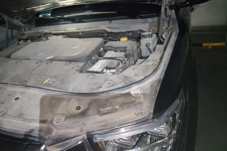 Used Tank 500 2022 3.0T Sport Edition "Creation" Version 5-Seater Engine Bay Left