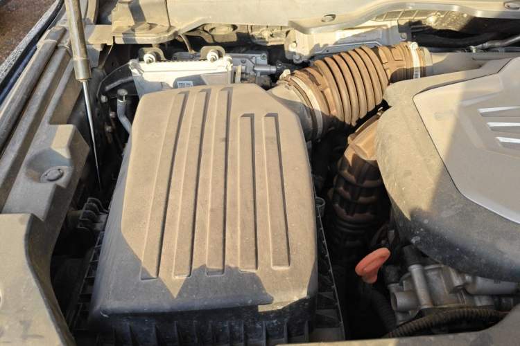 Used Tank 500 2022 3.0T Sport Edition "Creation" Version 5-Seater Engine Bay Right