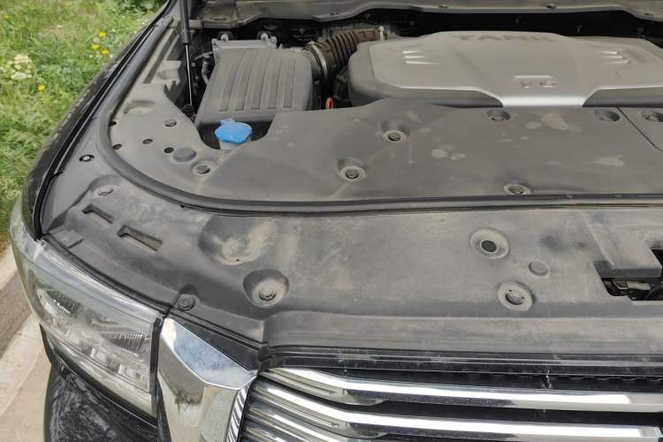 Used Tank 500 2022 3.0T Business Edition "Creation Realm" Design 5-Seater Engine Bay Right