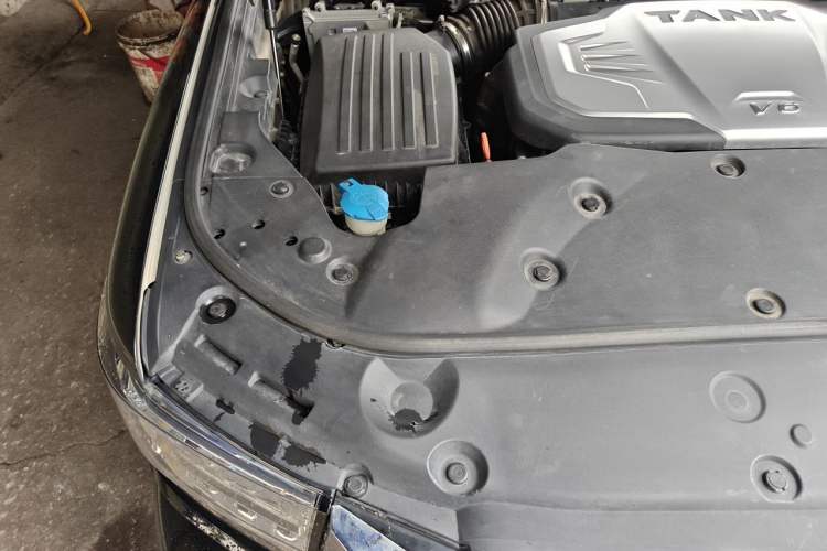 Used Tank 500 2022 3.0T Sport Edition "Creation" Version 5-Seater Engine Bay Right