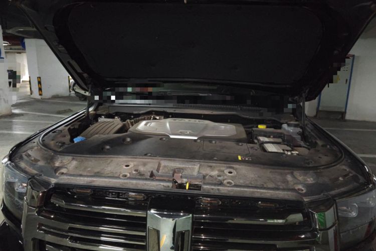 Used Tank 500 2022 3.0T Black Warrior Limited Edition 5 Seats Engine Bay