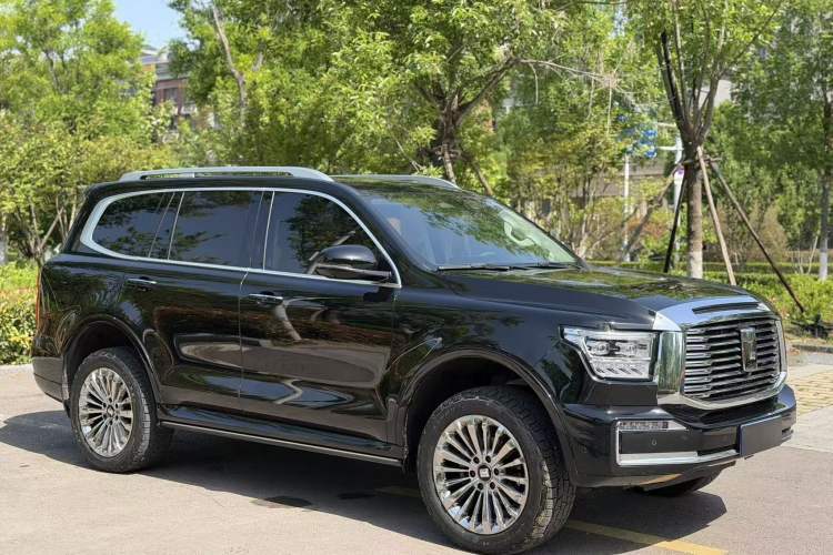 Used Tank 500 2022 3.0T Sport Edition "Creation" Version 5-Seater Exterior 2