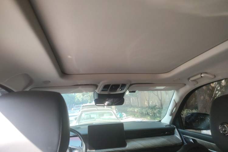 Used Tank 500 2022 3.0T Black Warrior Limited Edition 5 Seats Headliner