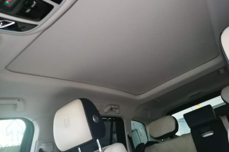 Used Tank 500 2022 3.0T Business Edition "Creation Realm" Design 5-Seater Headliner