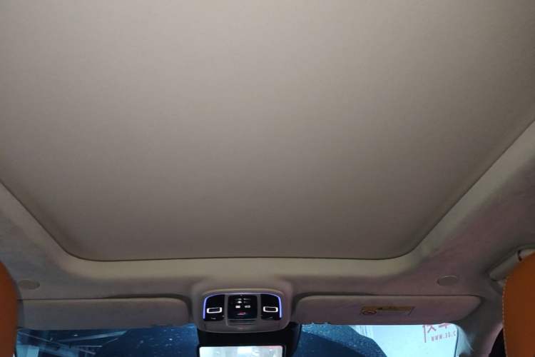 Used Tank 500 2022 3.0T Sport Edition "Creation" Version 5-Seater Headliner