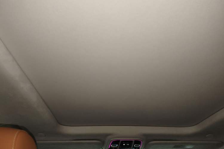 Used Tank 500 2022 3.0T Business Edition "Creation Realm" Design 5-Seater Headliner