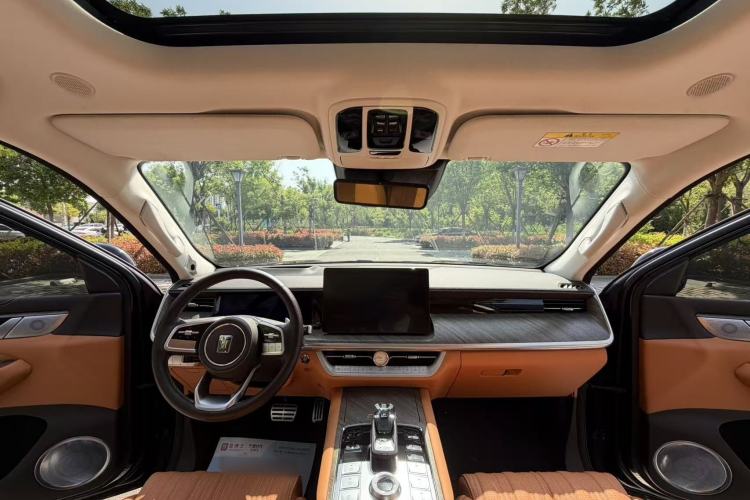 Used Tank 500 2022 3.0T Sport Edition "Creation" Version 5-Seater Interior 6