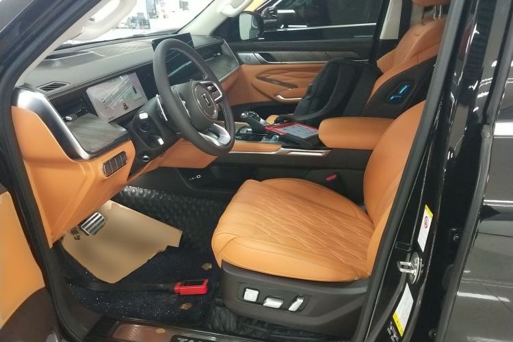 Used Tank 500 2022 3.0T Business Edition "Creation Realm" Design 5-Seater Left Front Seat