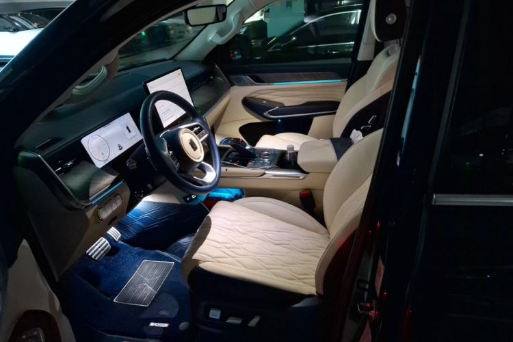 Used Tank 500 2022 3.0T Business Edition "Creation Realm" Design 5-Seater Left Front Seat