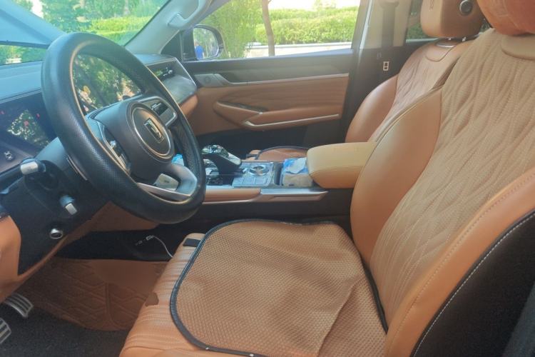 Used Tank 500 2022 3.0T Sport Edition "Creation" Version 5-Seater Left Front Seat