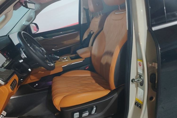 Used Tank 500 2022 3.0T Sport Edition "Creation" Version 5-Seater Left Front Seat