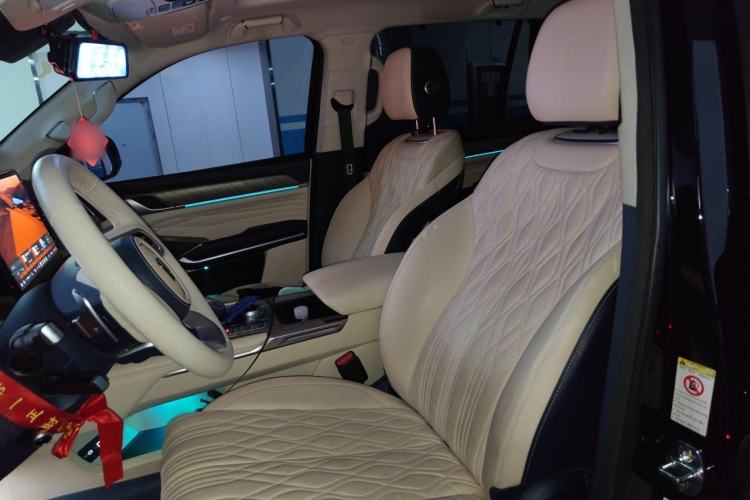 Used Tank 500 2022 3.0T Business Edition "Creation Realm" Design 5-Seater Left Front Seat