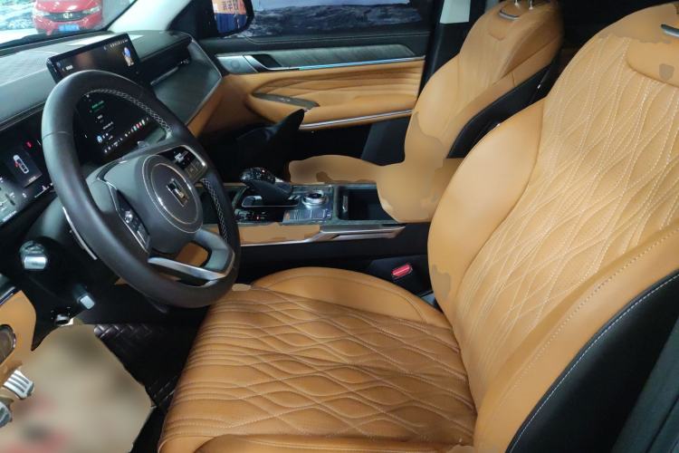 Used Tank 500 2022 3.0T Sport Edition "Creation" Version 5-Seater Left Front Seat