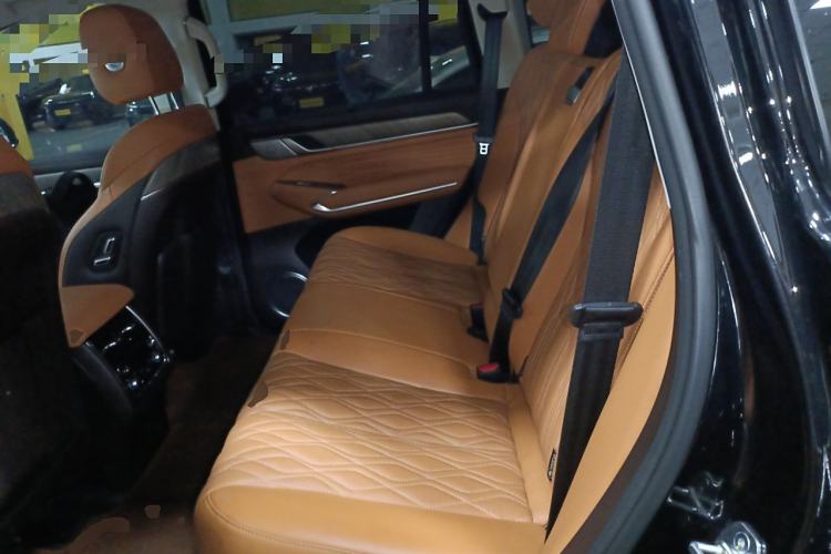 Used Tank 500 2022 3.0T Business Edition "Creation Realm" Design 5-Seater Left Rear Seat