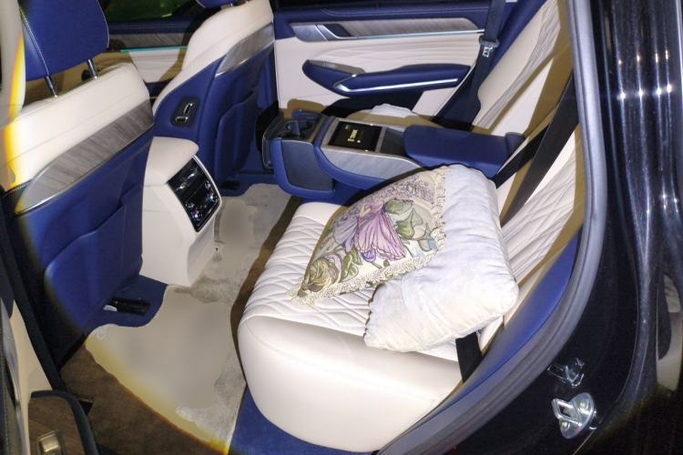 Used Tank 500 2022 3.0T Business Edition "Creation Realm" Design 5-Seater Left Rear Seat