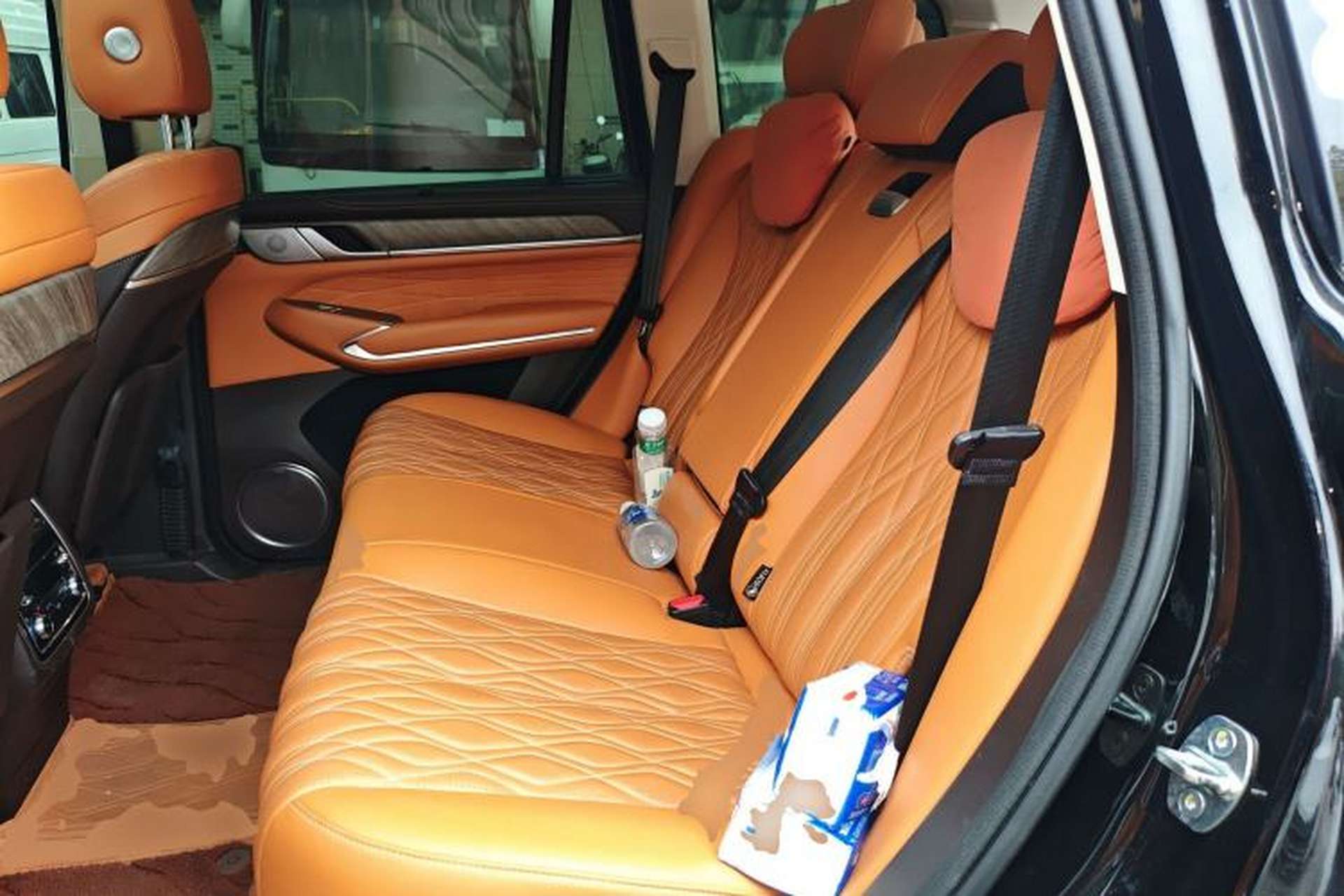 Used Tank 500 2022 3.0T Business Edition "Creation Realm" Design 5-Seater Left Rear Seat