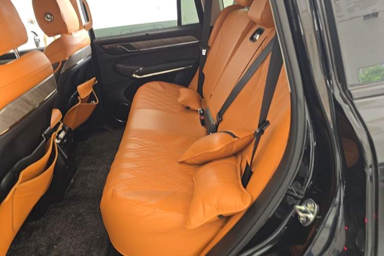 Used Tank 500 2022 3.0T Sport Edition "Creation" Version 5-Seater Left Rear Seat