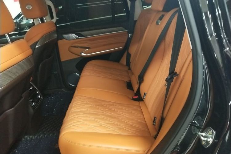 Used Tank 500 2022 3.0T Business Edition "Creation Realm" Design 5-Seater Left Rear Seat