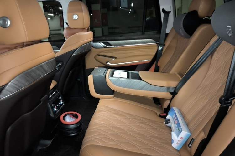 Used Tank 500 2022 3.0T Sport Edition "Creation" Version 5-Seater Left Rear Seat