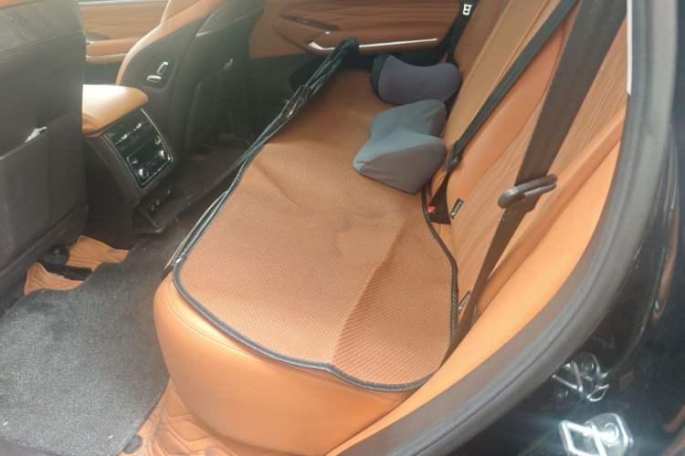 Used Tank 500 2022 3.0T Sport Edition "Creation" Version 5-Seater Left Rear Seat
