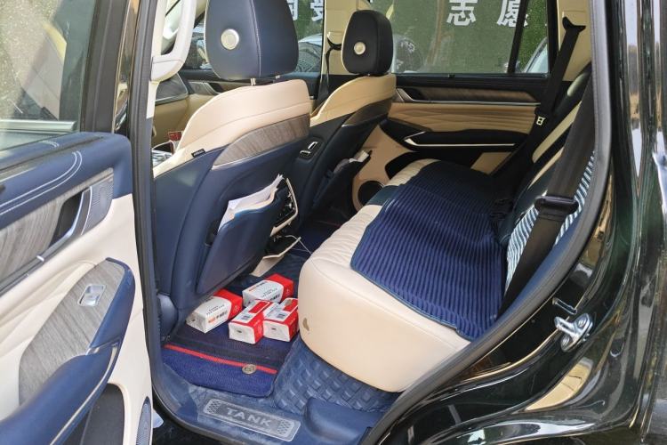 Used Tank 500 2022 3.0T Sport Edition "Creation" Version 5-Seater Left Rear Seat