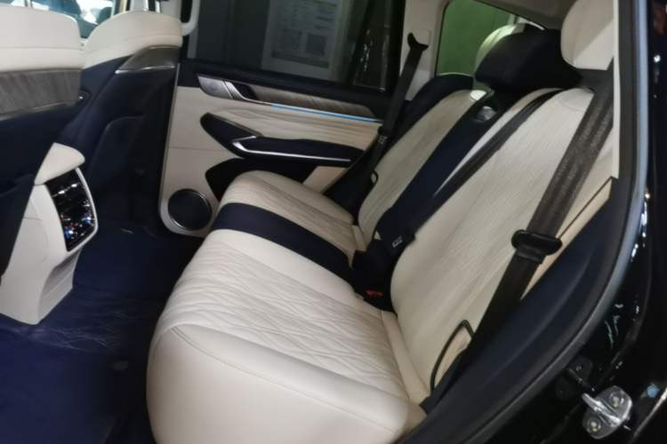 Used Tank 500 2022 3.0T Business Edition "Creation Realm" Design 5-Seater Left Rear Seat