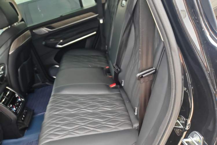 Used Tank 500 2022 3.0T Sport Edition "Creation" Version 5-Seater Left Rear Seat