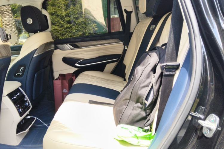 Used Tank 500 2022 3.0T Sport Edition "Creation" Version 5-Seater Left Rear Seat